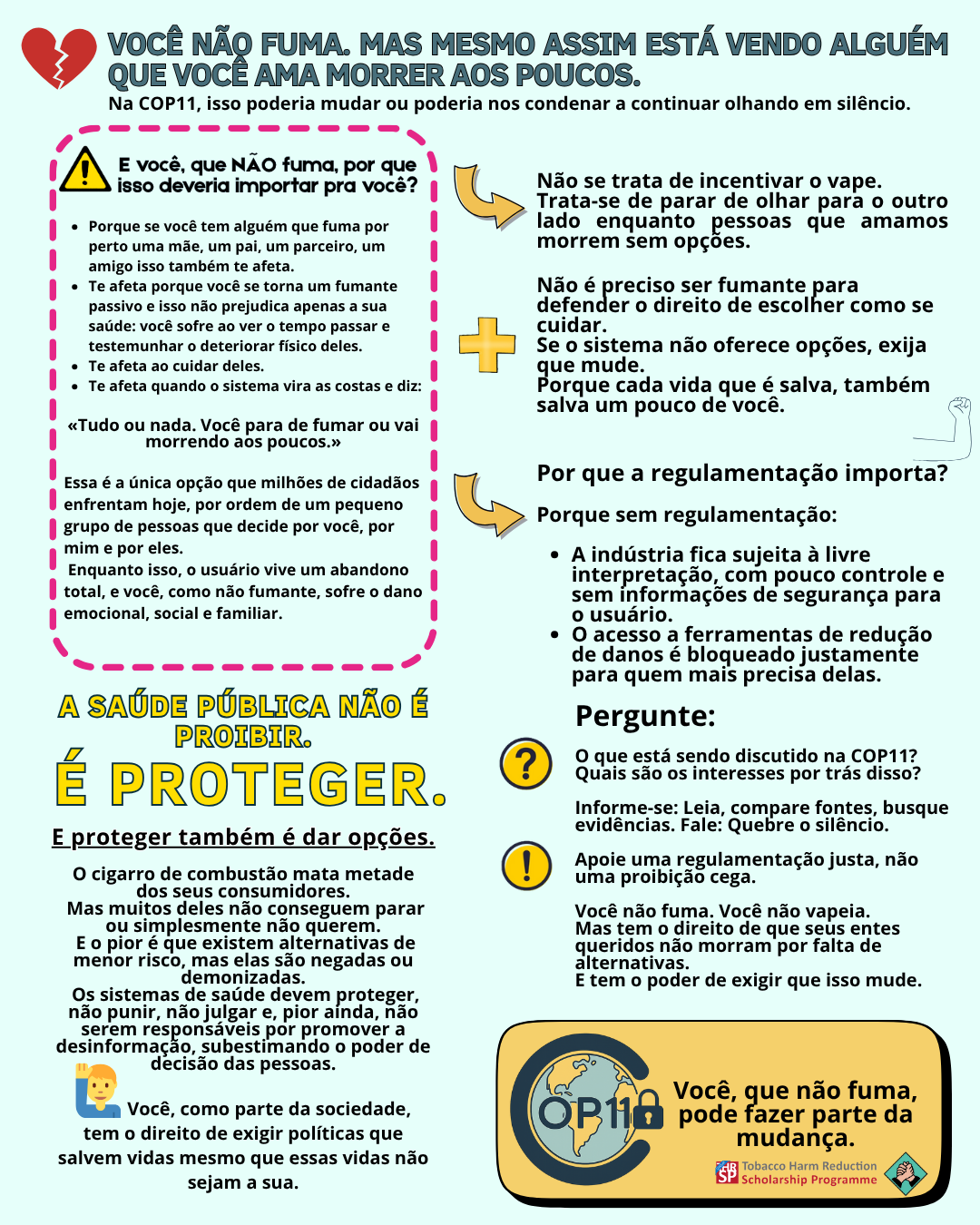 Portada de Não olhe para o lado: COP11